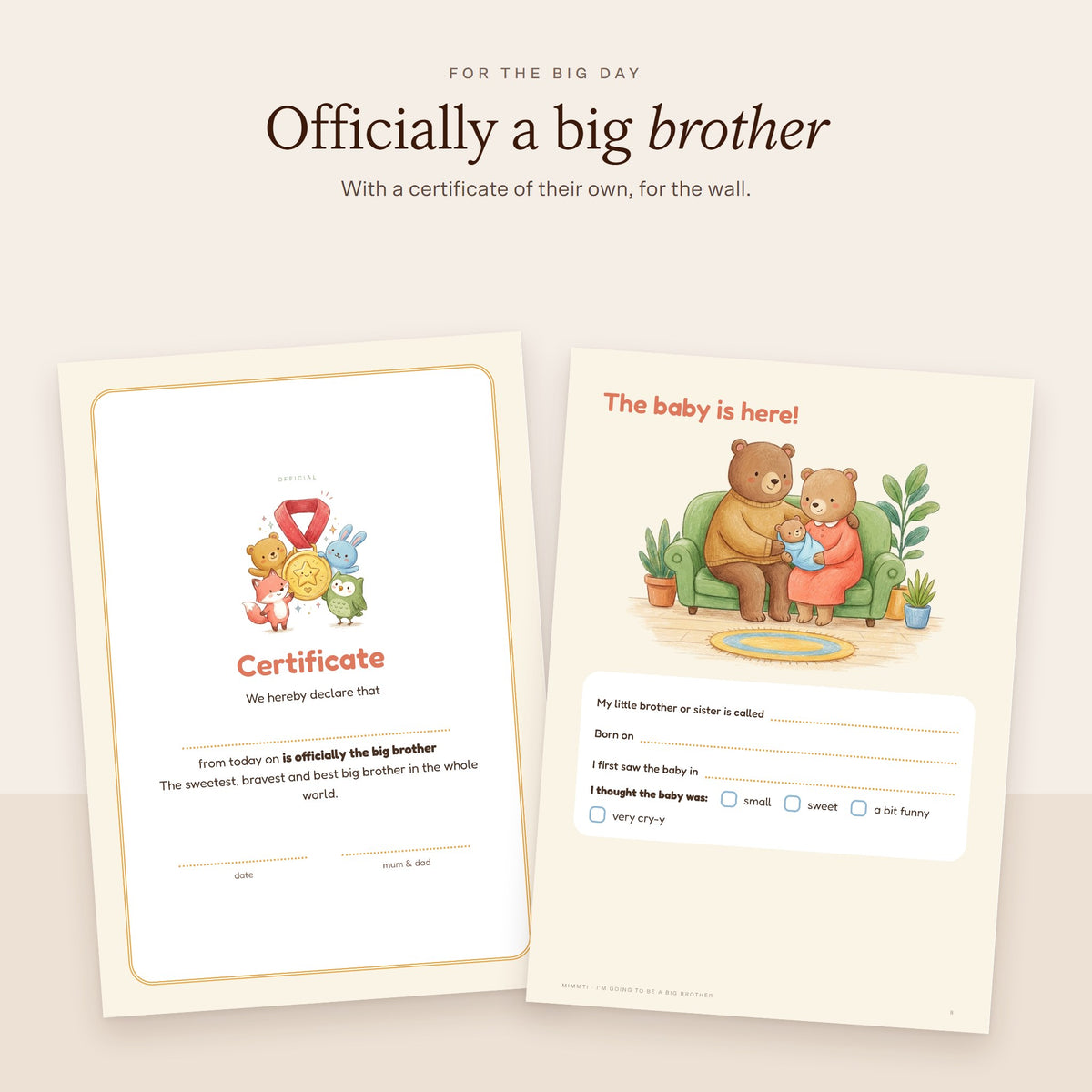 MIMMTI I'm going to be a big sister / big brother