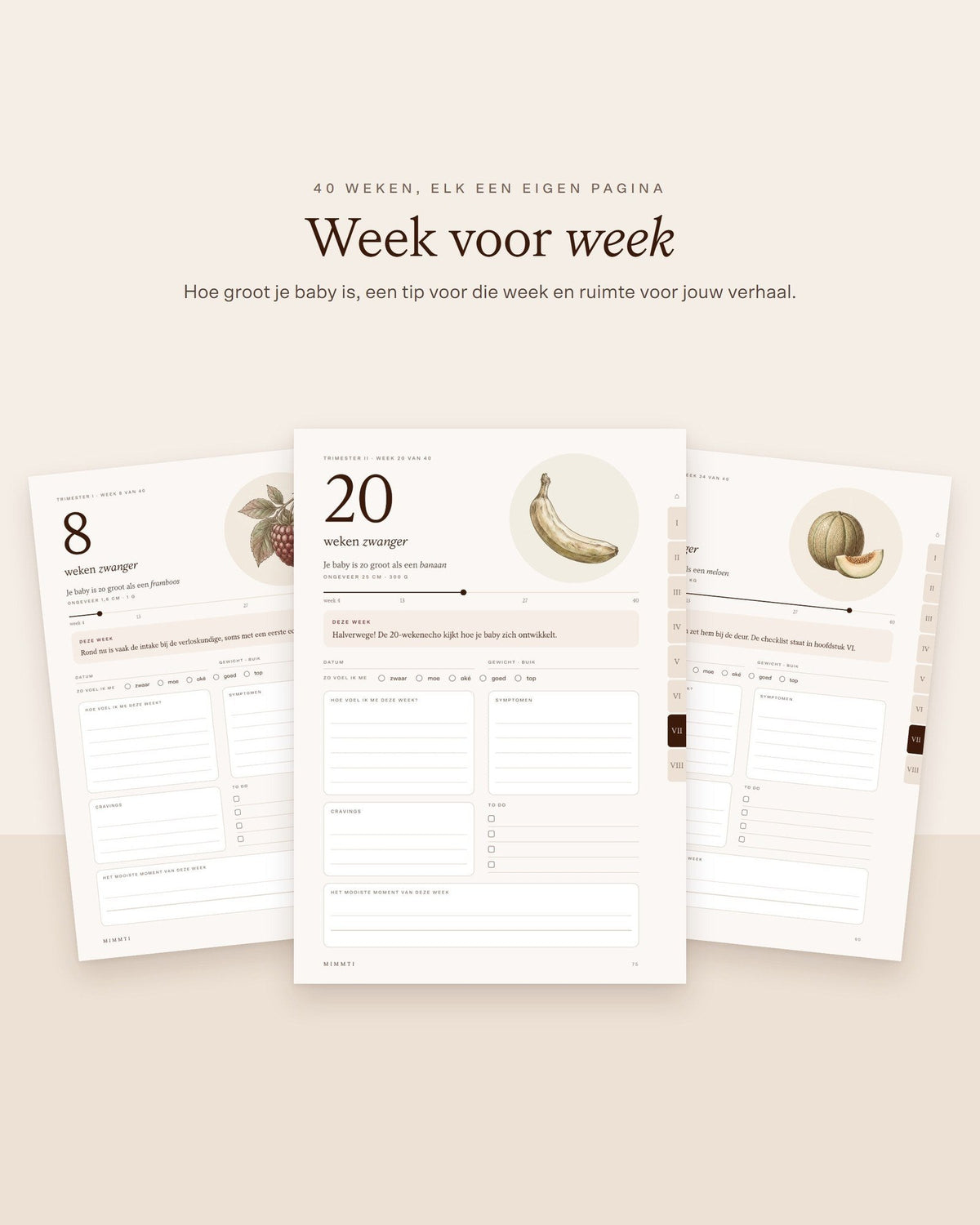 Weekpagina's van het MIMMTI zwangerschapsdagboek met illustratie per week