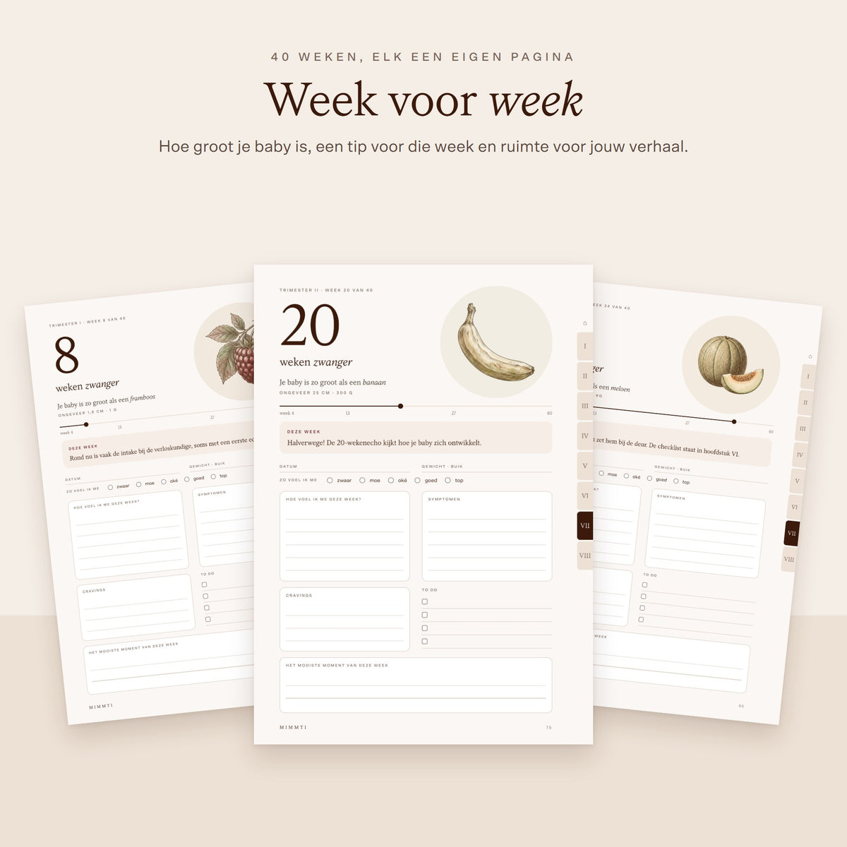 Weekpagina's van de zwangerschapsplanner met illustraties per week